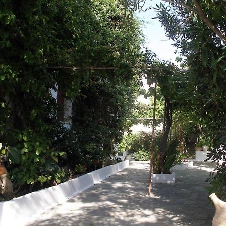 Arethousa Plaka  Dış mekan fotoğraf
